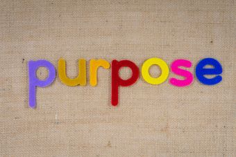 Colorful felt letters spelling 'purpose' on a textured fabric background with ample copyspace.