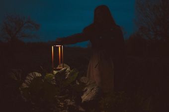 Silhouette of a woman with a lantern in a dark, moody garden setting at night.